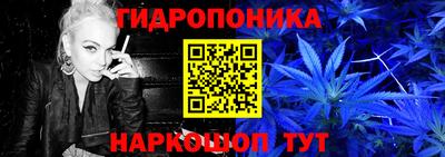 молекула духа Будённовск