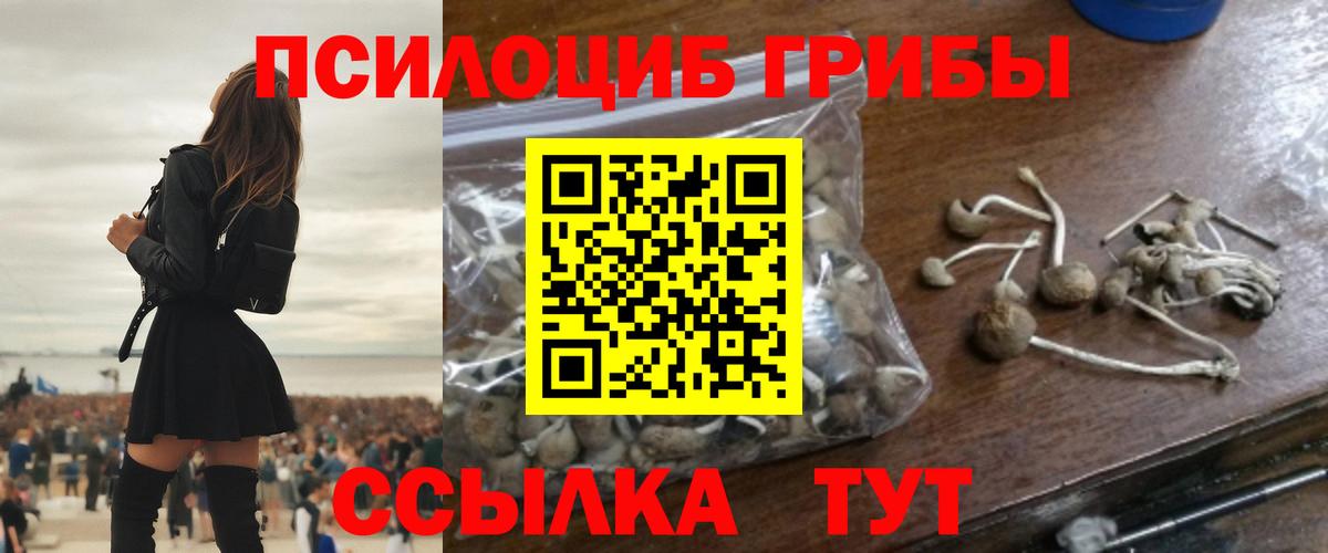 Галлюциногенные грибы ЛСД  Галлюциногенные грибы Magic Shrooms  Челябинск  Вход с VPN 
